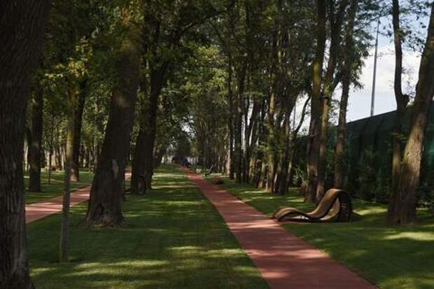 Тенистые аллеи: в парке Галицкого в Краснодаре открывается первая часть новой локации