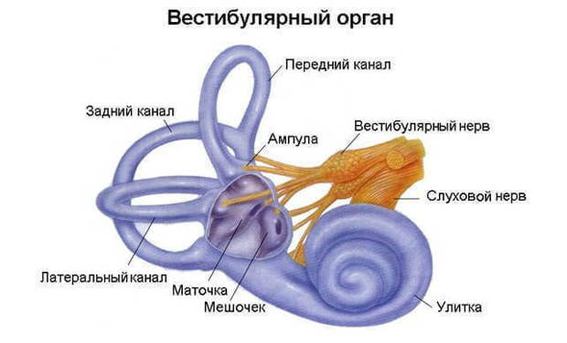 Упражнения как лечение головокружения при отолитиазе