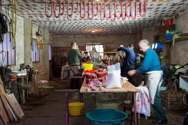 Gilbert Moulin (right), the Saigneur hired to perform the tue-cochon, and members of the Bibal family finish up a long day's work stuffing saucisse and boudin and begin the process of hanging the preserved meats for drying.