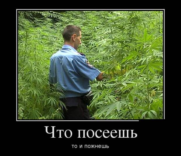 Демотиваторы (30 фото)