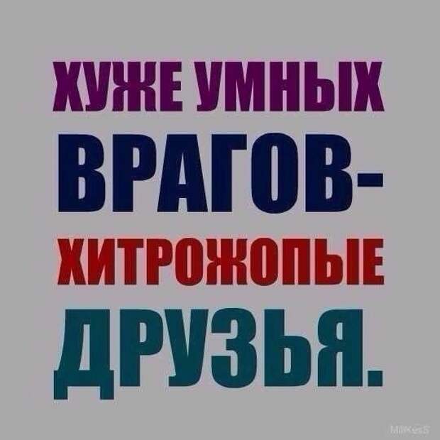 Всякости всякости, картинки, юмор