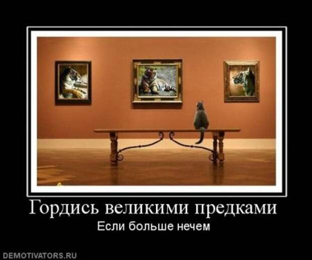 Демотиватоты, смешные фото и надписи, как всегда на сайте!