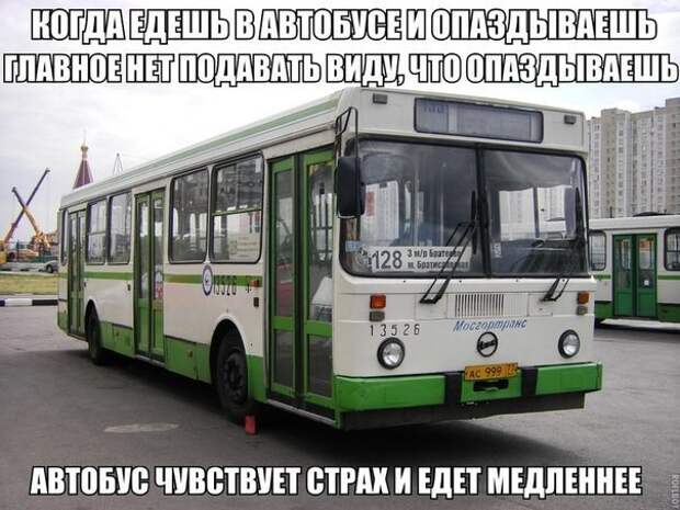 Смешные картинки с надписями прикол, юмор