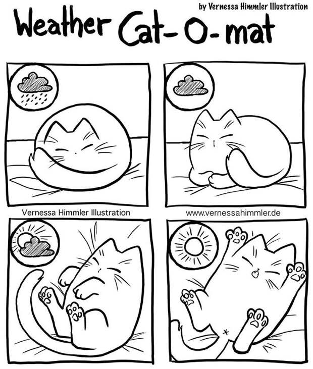 Cat Comics