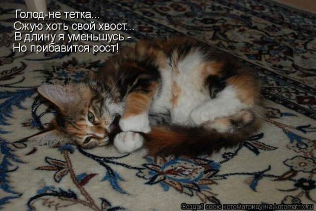 Мысли вслух :)