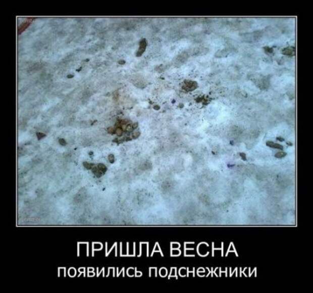 Демотиваторы, юмор дня, фотки с прикольными подписями.