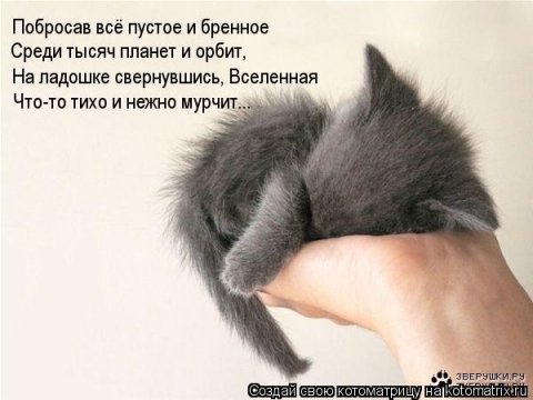 Новые крутые котоматрицы первой недели октября (50 фото) Новые крутые котоматрицы первой недели октября (50 фото)