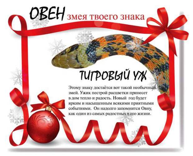 Какой змеей будешь ты в 2013 году (13 фото) Какой змеей будешь ты в 2013 году (13 фото)