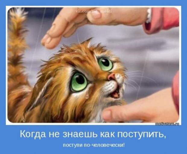 Привлекаем позитивных людей. Мотивация.