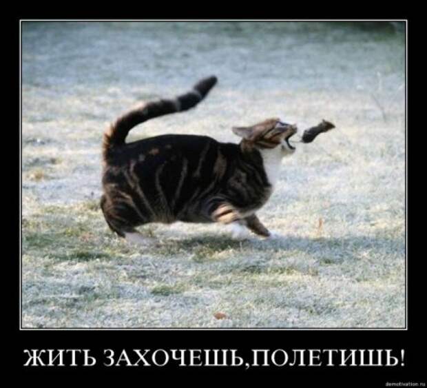 Серьезные и умные демотиваторы.