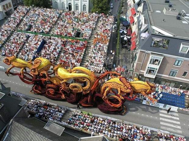 Невероятные цветочные скульптуры на параде Bloemencorso Zundert (14)
