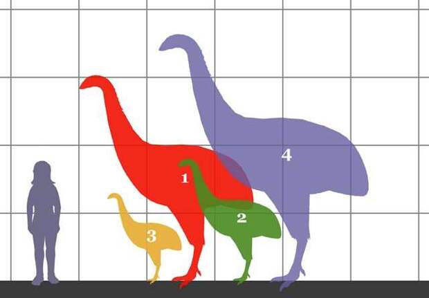 Невероятные монстры прошлого, обитавшие на Земле prehistoric10 Невероятные монстры прошлого, обитавшие на Земле