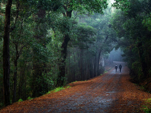 morning walk by Alfredo Santamaria on 500px.com