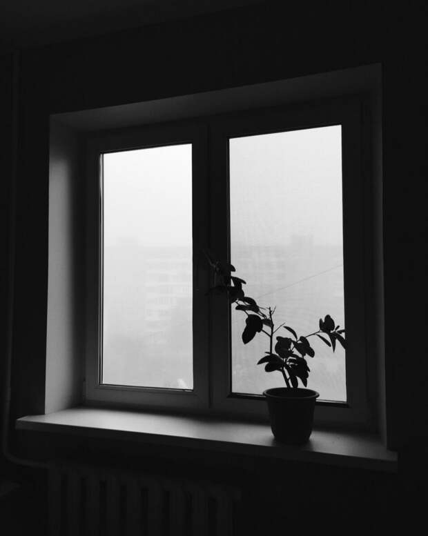 Фото с сайта: twimg.com