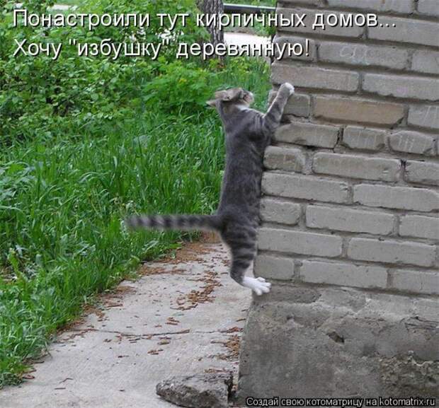 Мысли вслух :)