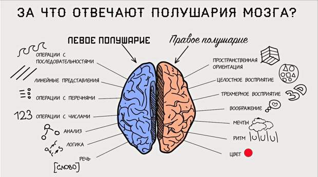 Источник: life4health.ru