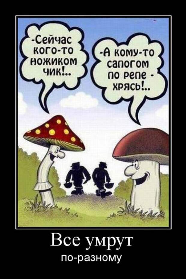 Демотиваторы (30 фото) Демотиваторы (30 фото)