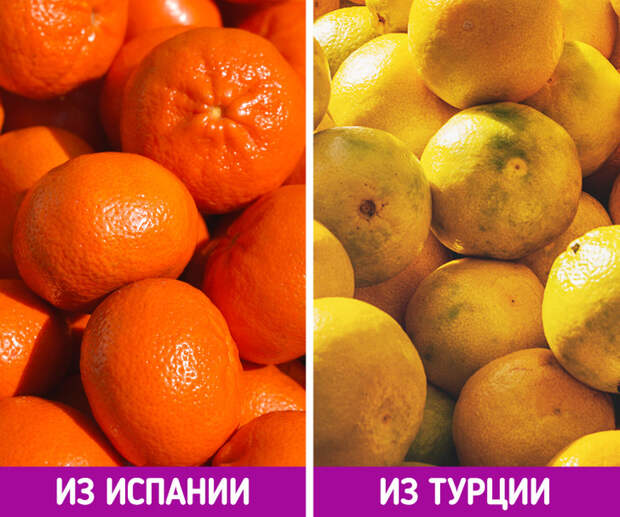 9 советов, благодаря которым вы больше не купите невкусные мандарины и новогоднее настроение не будет испорчено