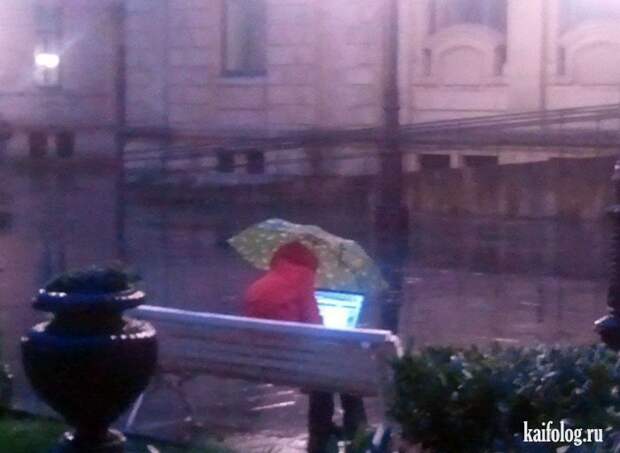 Приколы про Wi-Fi (50 фото)