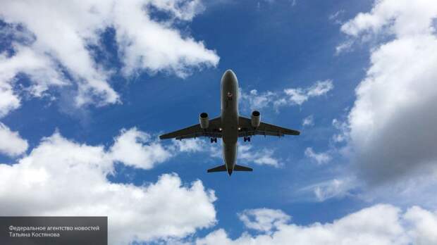 Требования Минтранса могут парализовать работу авиакомпаний, полагают эксперты