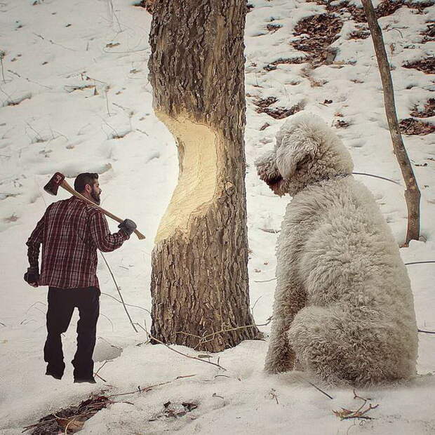 Christopher Cline и его гигантская собака