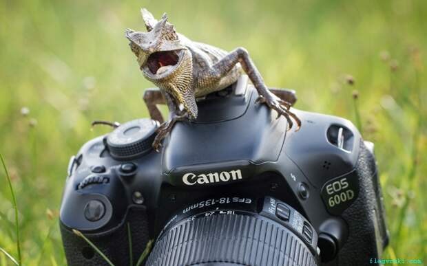 Этот день в фотографиях, 24.02.2015