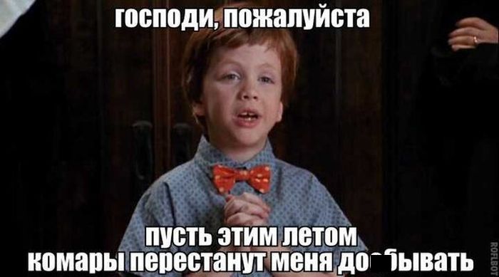 Смешные картинки с подписями катинки, прикол, юмор