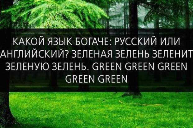 Картинки, юмор, приколы