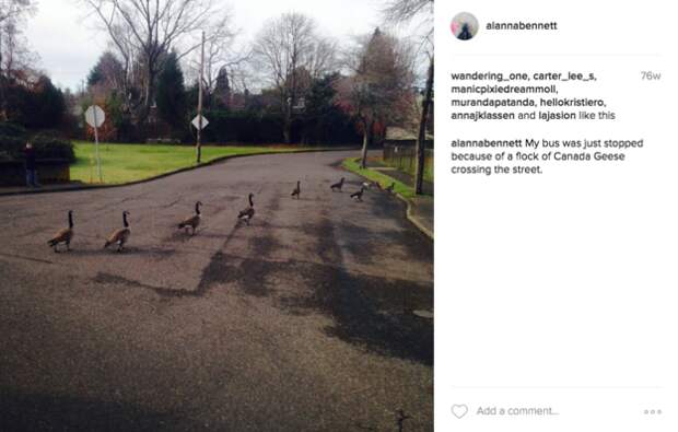 You're pretty used to wildlife finding ways to crop up in your everyday city life.