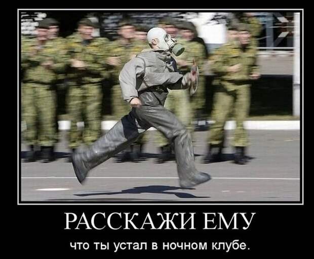 Демотиваторы (30 фото)