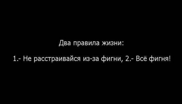 30 картинок, которые расскажут о том, какова жизнь на самом деле жизнь, открытки, юмор