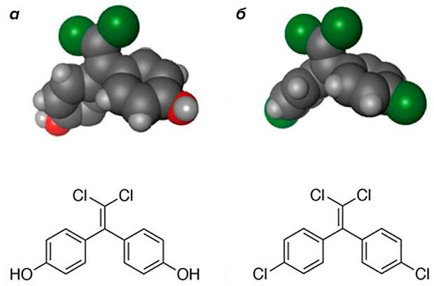 исунок 9. Атомная модель и химическая структура сходных по строению эндокринных разрушителей: бисфенола С (а) и ДДЭ (б) [28]