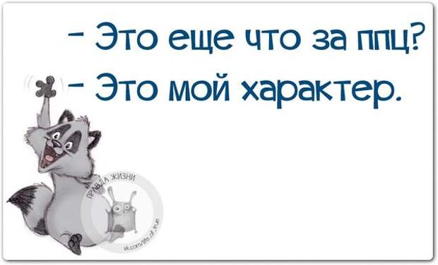 Это что еще за ппц?