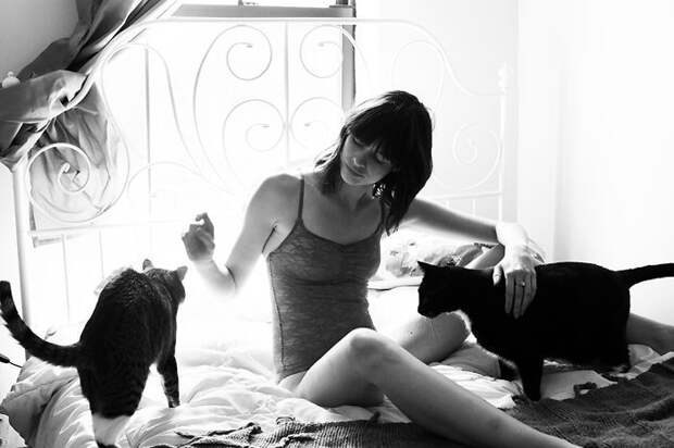 Брайан Виллс, Brianne Wills, девушки со своими котами, девушки с кошками которых они приютили