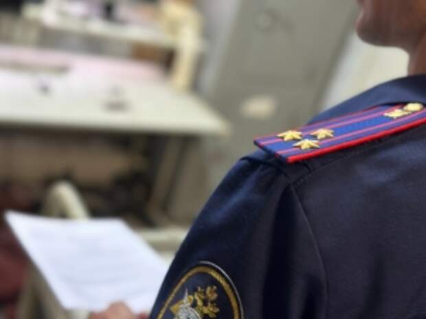 Председатель СК России поручил возбудить уголовное дело по факту противоправных действий в отношении подростка в Санкт-Петербурге