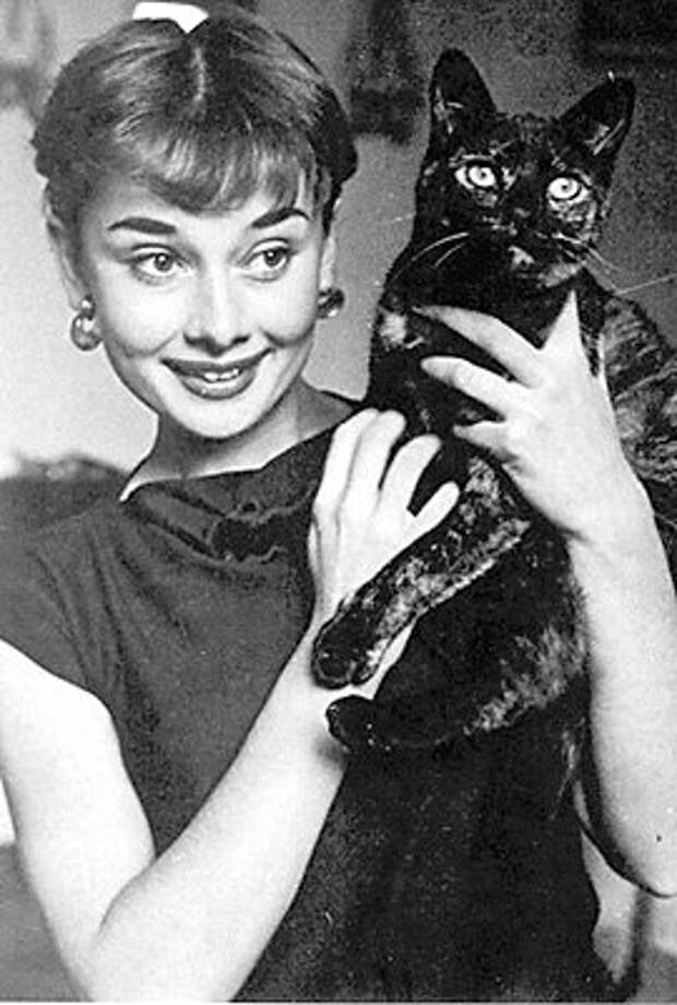 Одри Хепберн и животные: кошка. Фото / Audrey Hepburn and animals: cat. Photo 