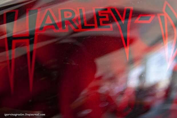 Мотоцикл Harley-Davidson крупным планом (28 фото)