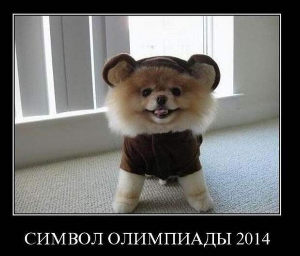 Демотиваторы демотиваторы, прикол, смех, юмор