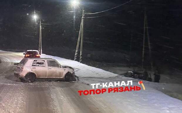 Под Рязанью автомобиль вылетел в кювет с заснеженной трассы