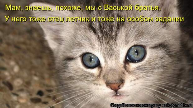 Котоматрица: Мам, знаешь, похоже, мы с Васькой братья. У него тоже отец летчик и тоже на особом задании