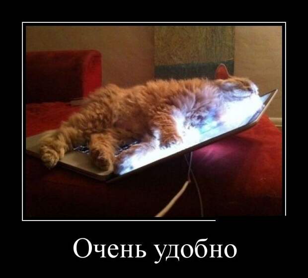 Демотиваторы демотиваторы, прикол, смех, юмор