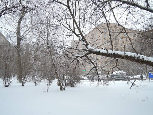 Снеопад в Москве