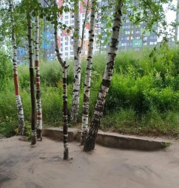 За домом на улице Мерянка навели порядок