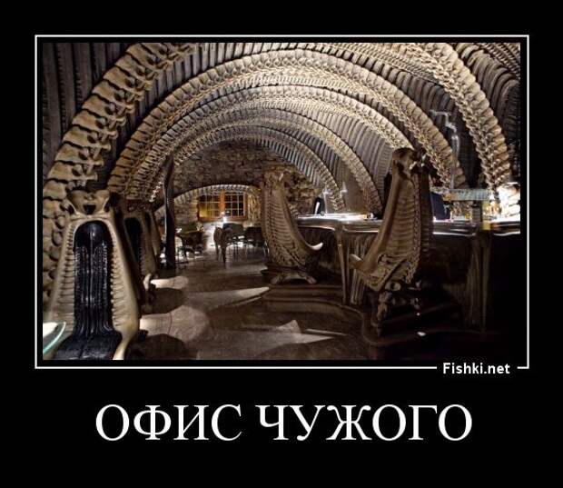 Демотиваторы  демотиваторы, прикол, смех, юмор