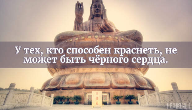 25 мыслей от китайских мудрецов 25 мыслей от китайских мудрецов афоризмы, китайская мудрость