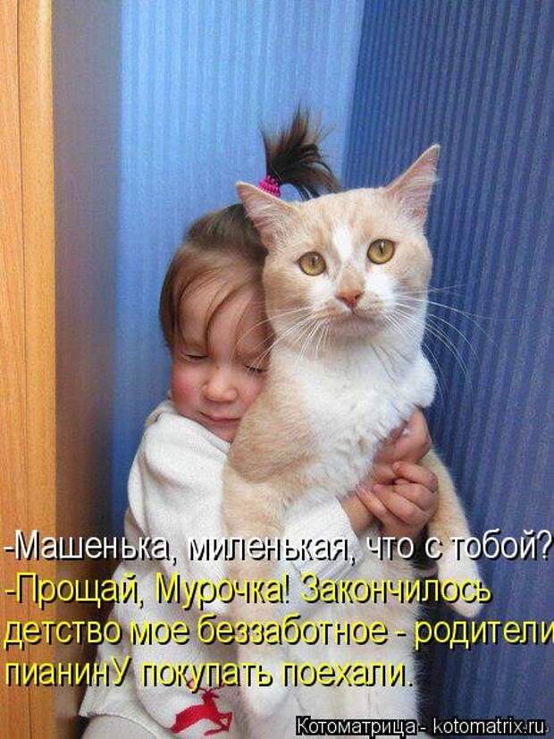 Новая котоматрица на Бугаге (31 фото)