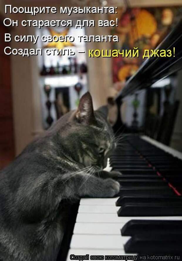 Лучшие котоматрицы недели