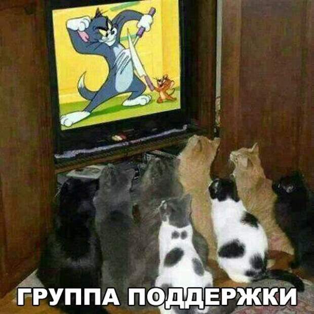 Смешные картинки с надписями прикол, юмор