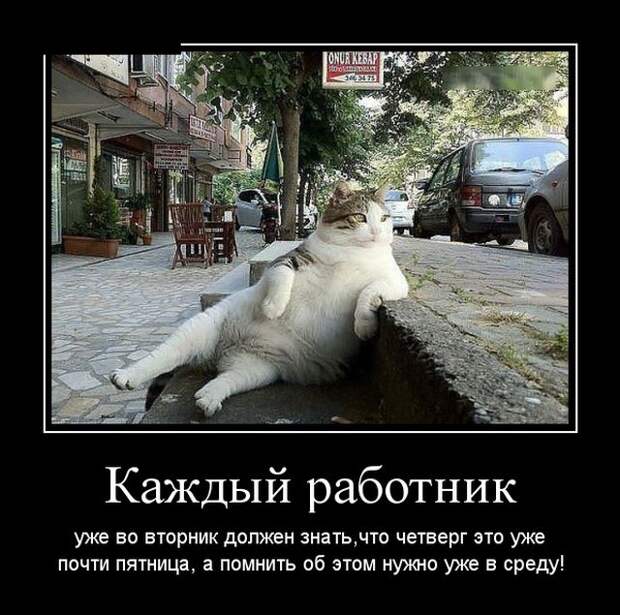 Демотиваторы (30 фото)