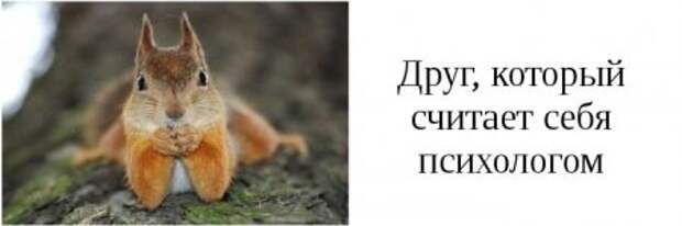 Такие друзья, есть у каждого из вас.